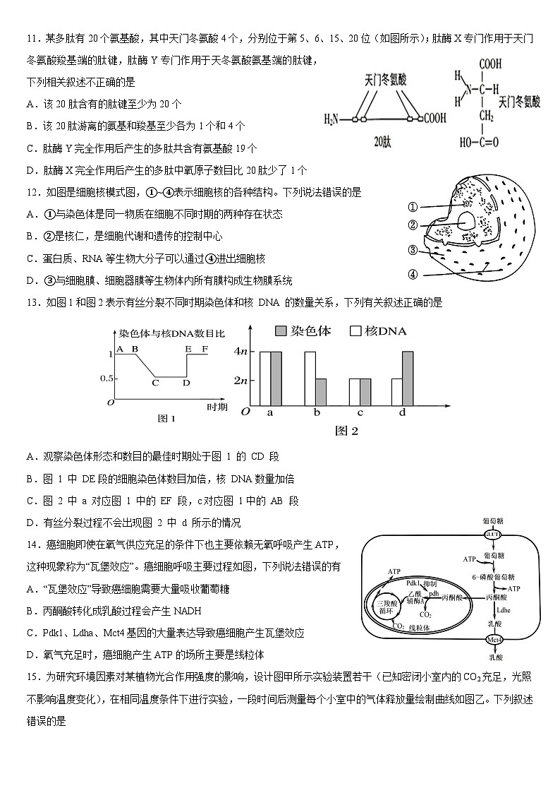 福建省福州市四校教学联盟2023-2024学年高一上学期期末学业联考生物试题 附答案第3页