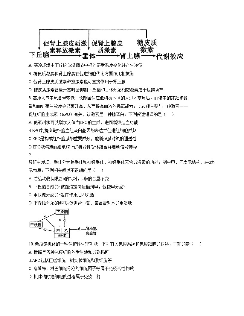 安徽省芜湖市第一中学2025_2026学年高二上学期12月期中考试生物试题（文字版，含答案）第3页