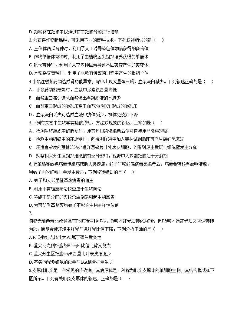 广东省深圳市深实高中园、惠东高级中学2025_2026学年高三上学期第二次联考生物试卷（文字版，含答案）第2页