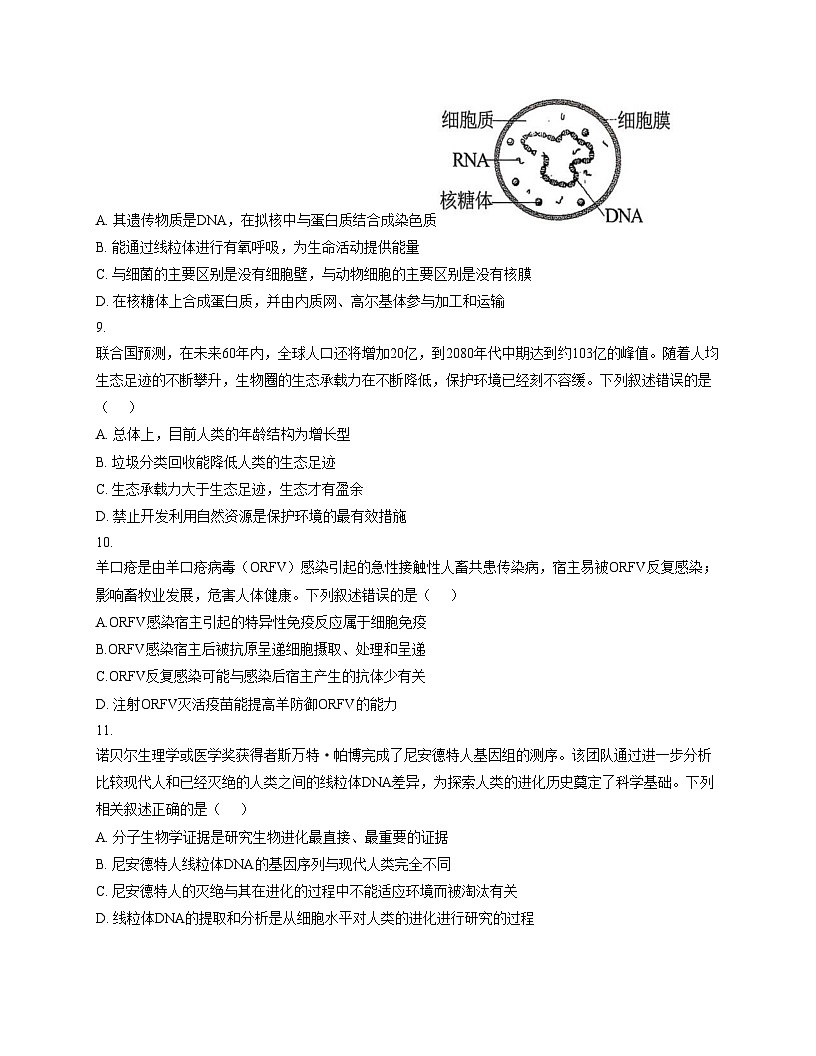 广东省深圳市深实高中园、惠东高级中学2025_2026学年高三上学期第二次联考生物试卷（文字版，含答案）第3页