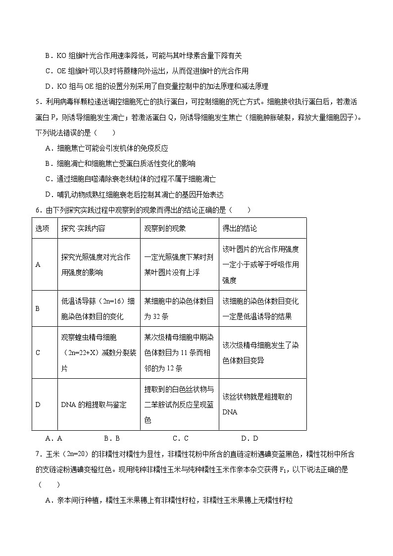 安徽省阜阳市2026届高三上学期1月期末教学质量监测生物试卷（含答案）第2页