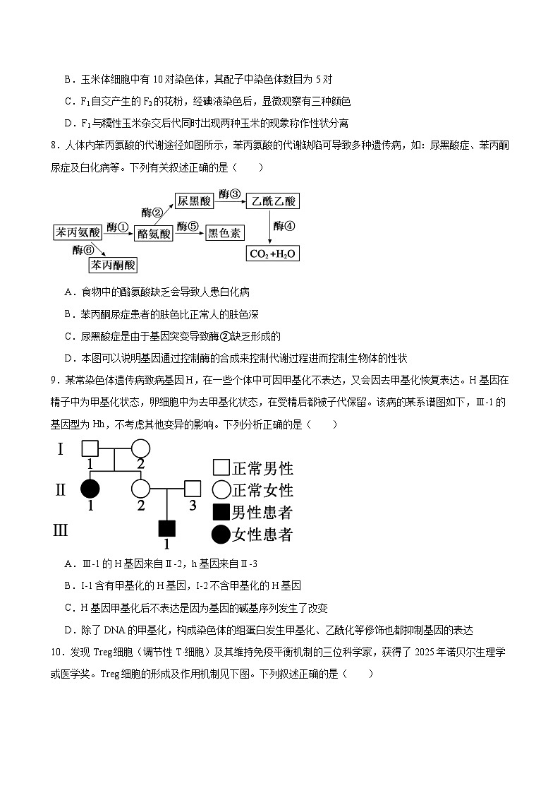 安徽省阜阳市2026届高三上学期1月期末教学质量监测生物试卷（含答案）第3页