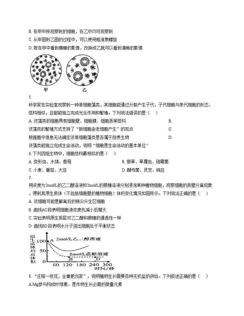 天津市武清区杨村四中2025_2026学年高一上学期期中考试生物试卷（文字版，含答案）第2页