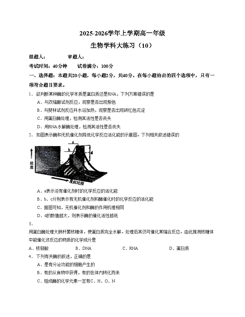 吉林省长春市东北师范大学附属中学2025_2026学年高一上学期生物周测（10）生物试题（文字版，含答案）第1页