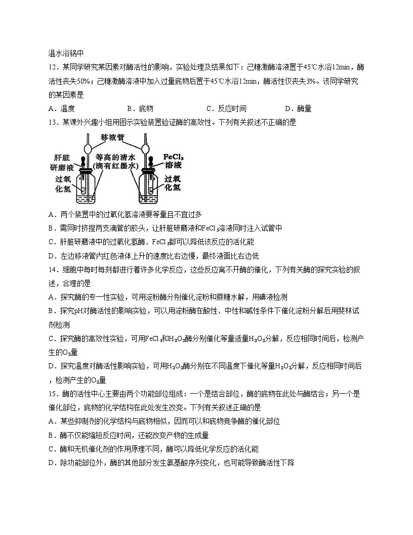 吉林省长春市东北师范大学附属中学2025_2026学年高一上学期生物周测（10）生物试题（文字版，含答案）第3页