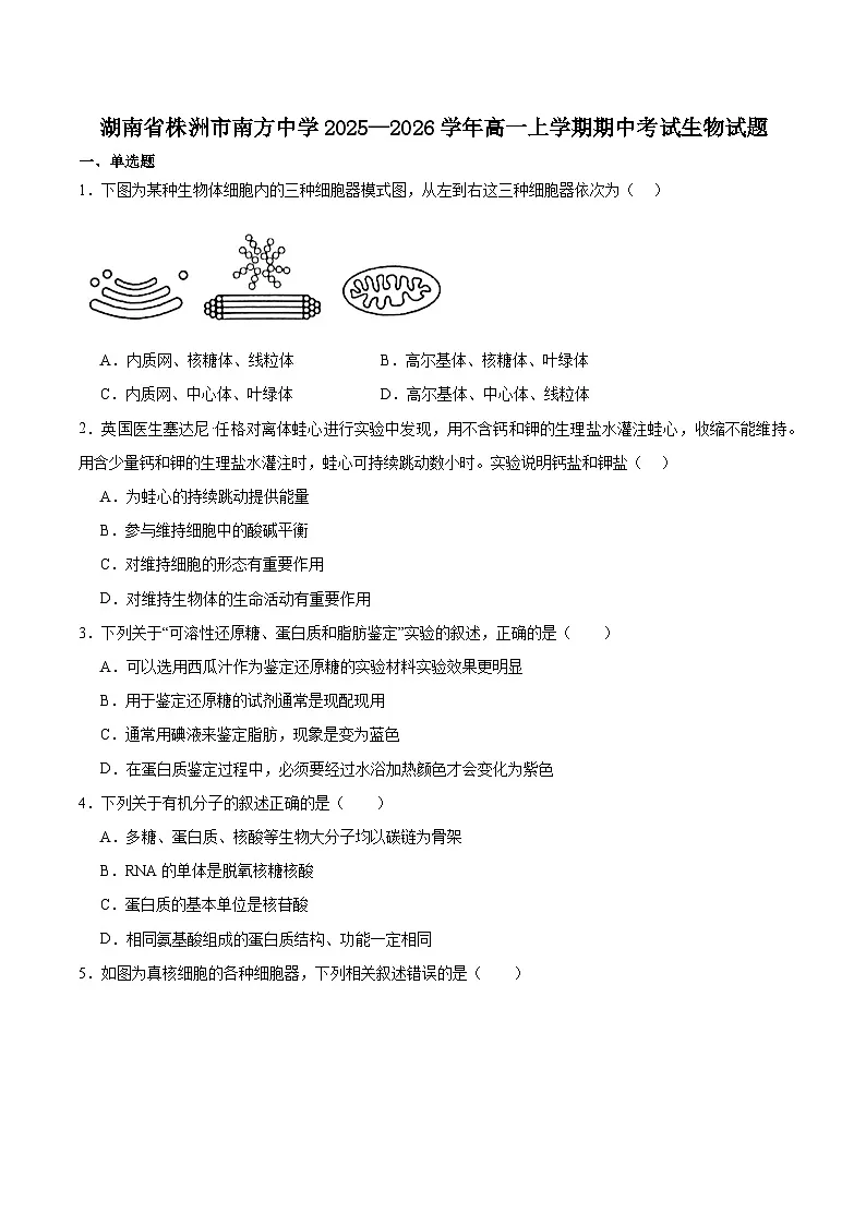 湖南省株洲市南方中学2025-2026学年高一上学期期中考试生物试卷（含答案）第1页