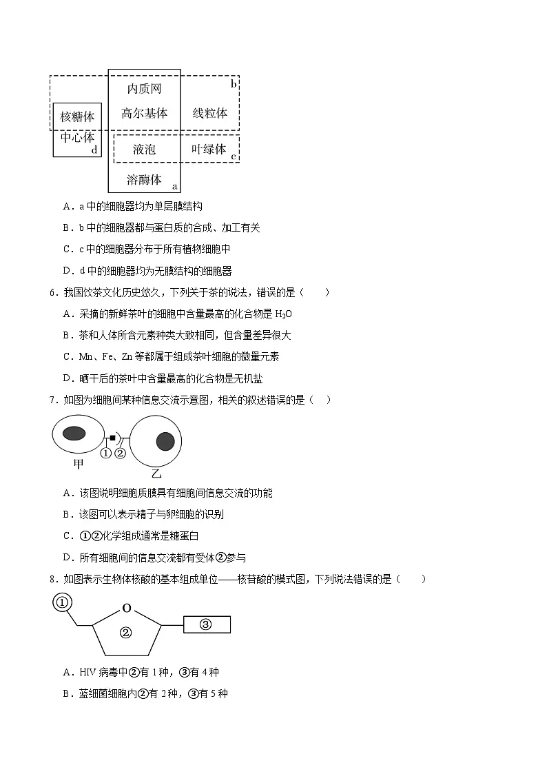 湖南省株洲市南方中学2025-2026学年高一上学期期中考试生物试卷（含答案）第2页