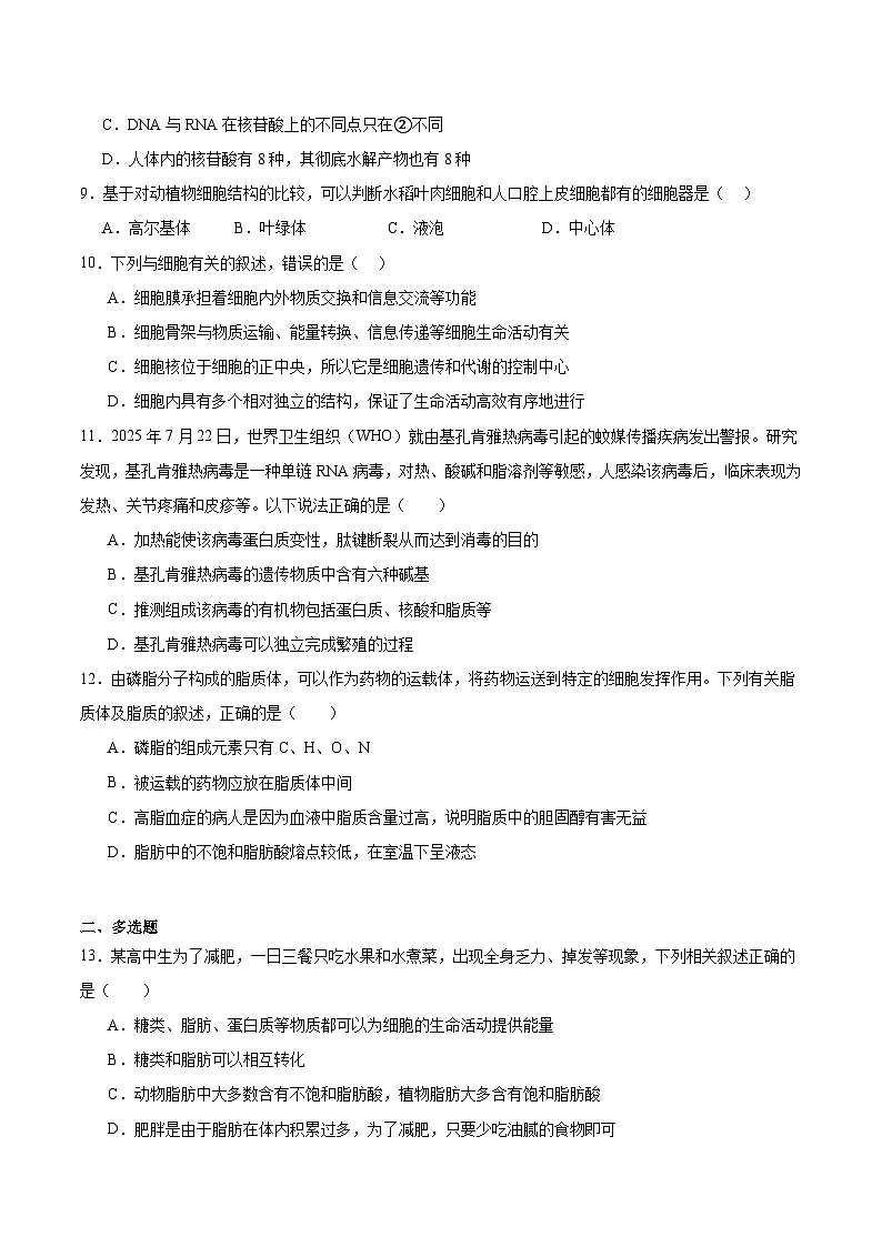 湖南省株洲市南方中学2025-2026学年高一上学期期中考试生物试卷（含答案）第3页