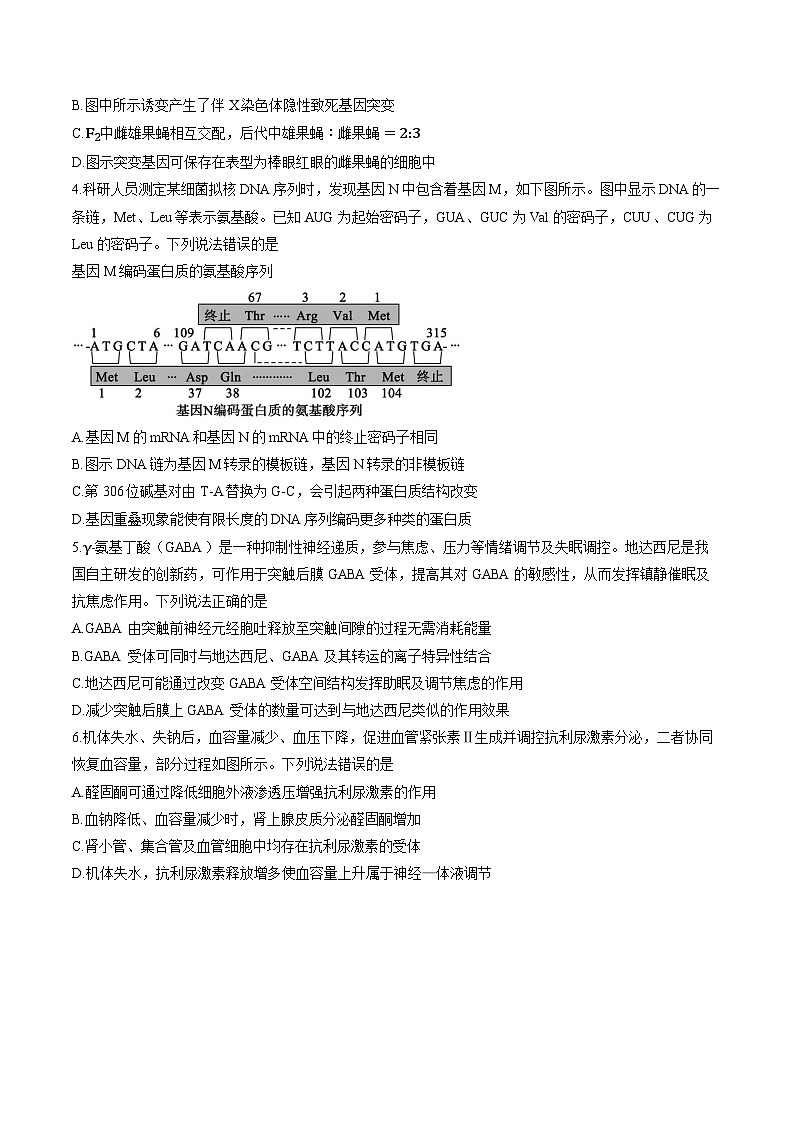 山东省德州市2025-2026学年上学期高三期末生物试卷（含答案）第2页