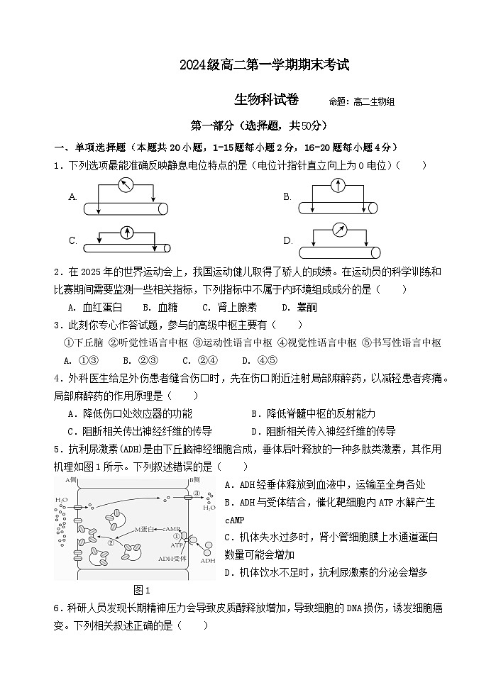 （1.21第8稿）2024 级高二第一学期期末考试第1页
