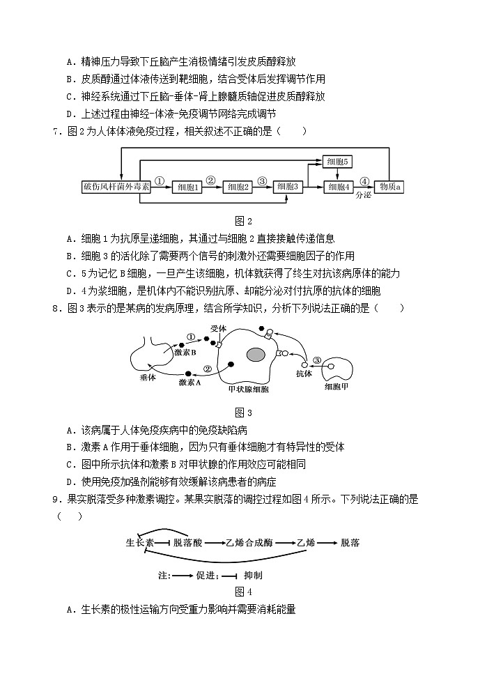 （1.21第8稿）2024 级高二第一学期期末考试第2页
