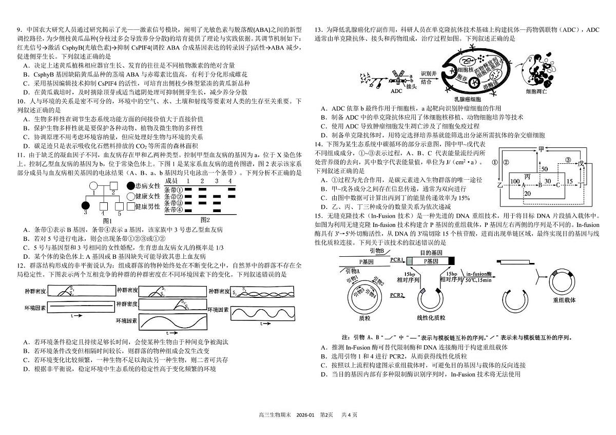 四川省成都市树德中学2025-2026学年高三上学期期末考试生物试卷（PDF版附答案）第2页