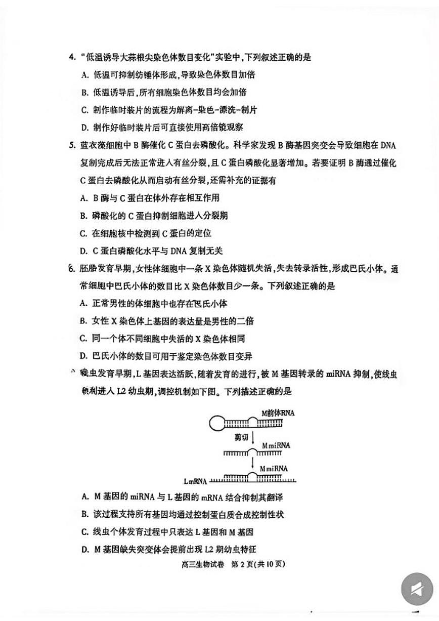 北京市顺义区2025~2026学年第一学期期末质量监测高三生物（含答案）试卷第2页