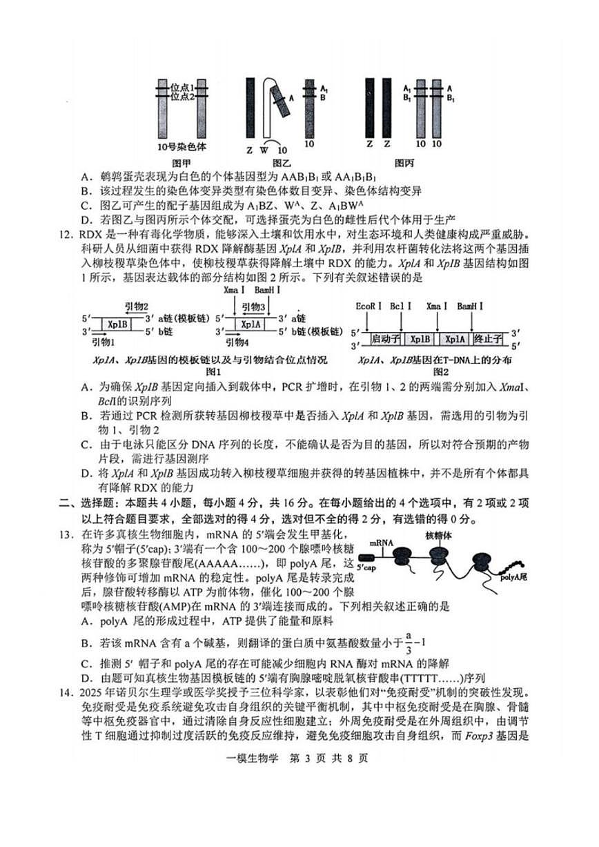 2026届江西省上饶市高三年级第一次高考模拟考试（上饶一模）生物试卷（含答案）第3页