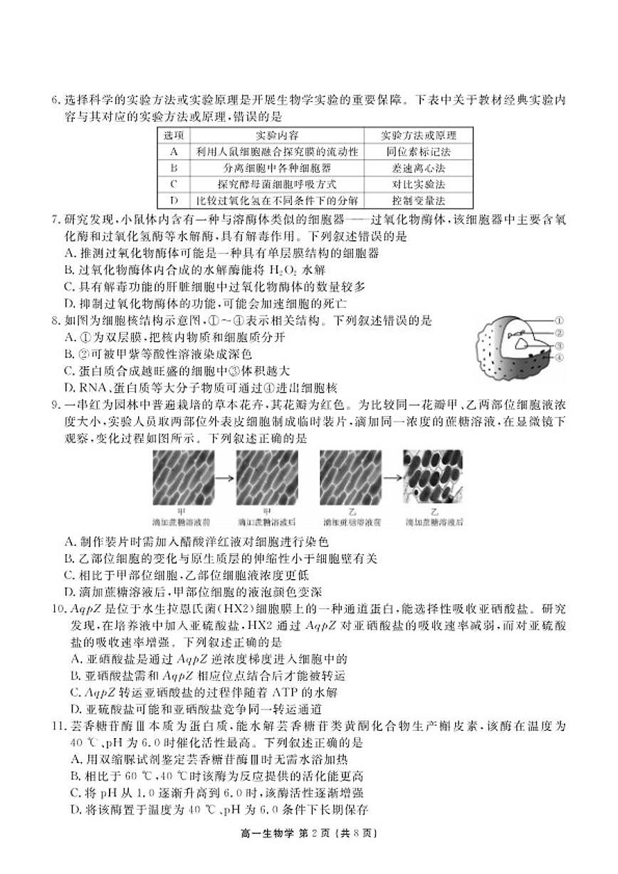 2025-2026学年辽宁省点石联考高一上期末生物试卷（含解析）第2页