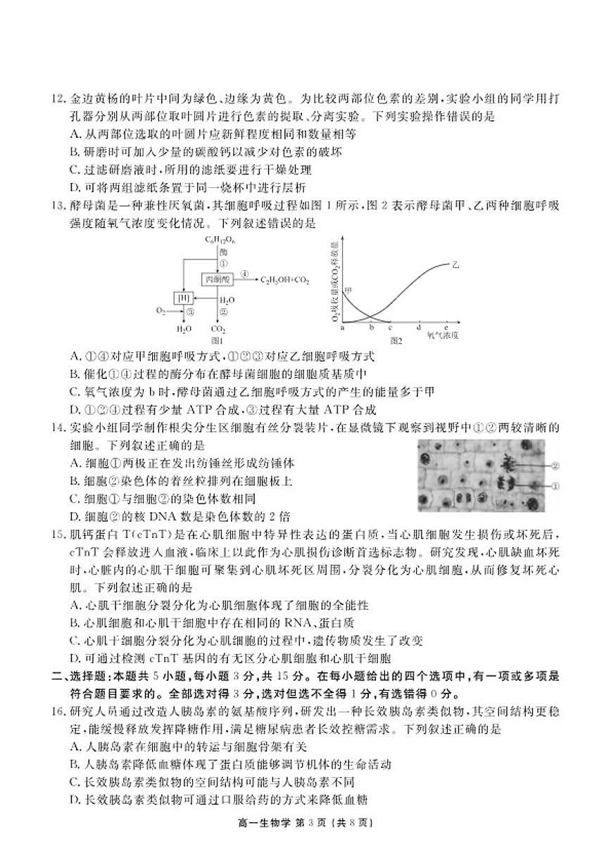2025-2026学年辽宁省点石联考高一上期末生物试卷（含解析）第3页