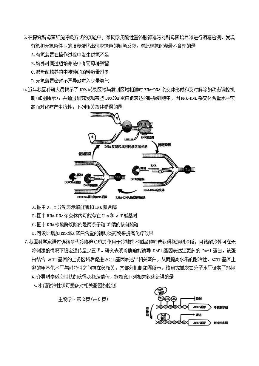 2026届四川省巴中市普通高中高三“一诊”考试生物学试题（含答案）第2页
