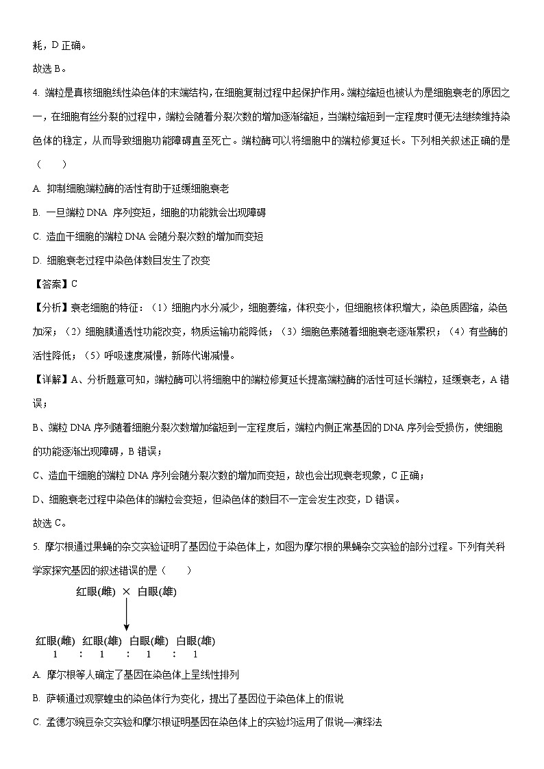 2025-2026学年黑龙江省鸡西市高三上学期1月期末生物试卷（学生版）第3页