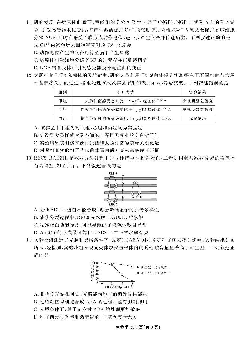 生物丨衡水金卷2026届高三上学期1月适应性测试试卷及答案第3页