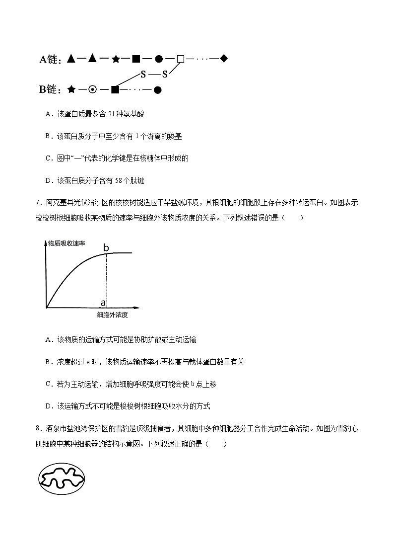 甘肃省酒泉市普通高中2025-2026学年高一上学期1月期末考试生物试卷（含答案）第3页