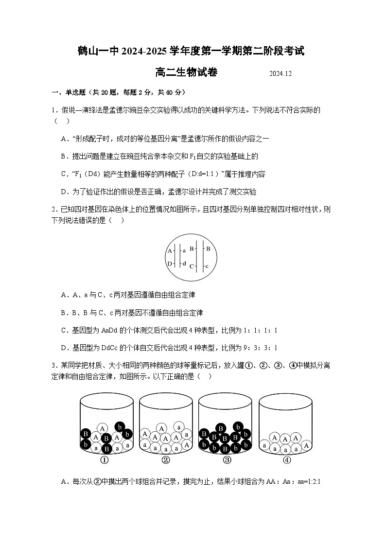 广东省江门市鹤山市第一中学2024-2025学年高二上学期12月月考生物学试题（含答案)第1页