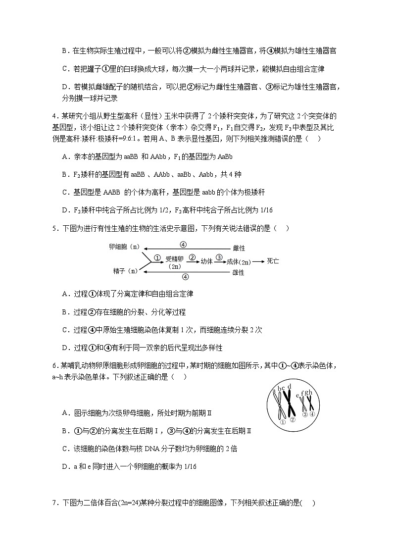 广东省江门市鹤山市第一中学2024-2025学年高二上学期12月月考生物学试题（含答案)第2页
