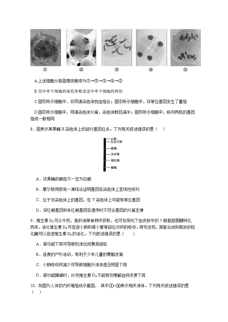广东省江门市鹤山市第一中学2024-2025学年高二上学期12月月考生物学试题（含答案)第3页