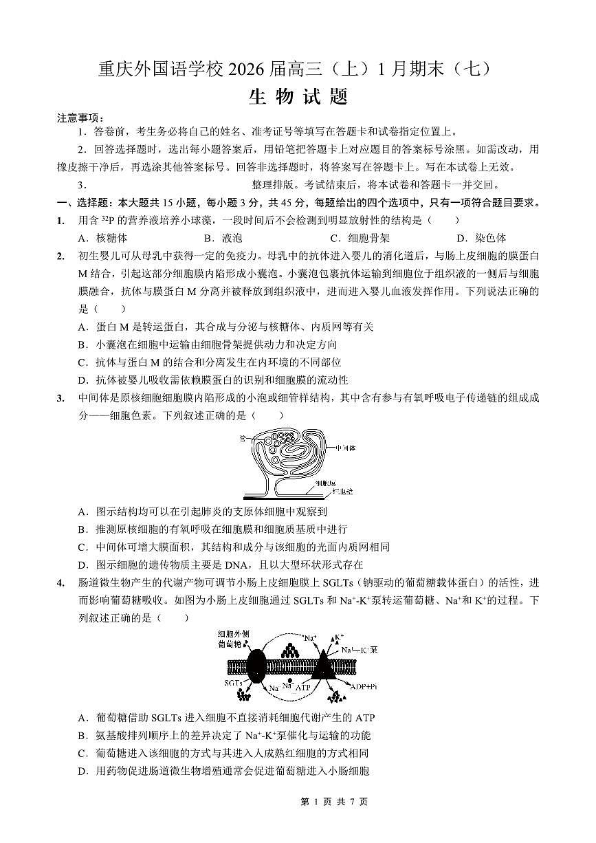 重庆实验外国语学校2025-2026学年度高三年级上学期1月期末考试（七）生物试卷（无答案）第1页