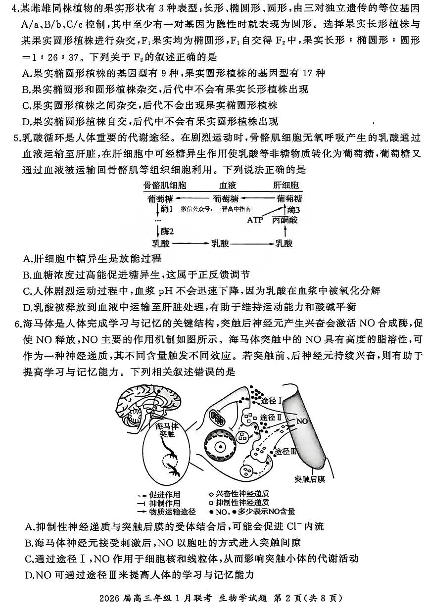 生物试卷-2026年1月高三九省联考第2页