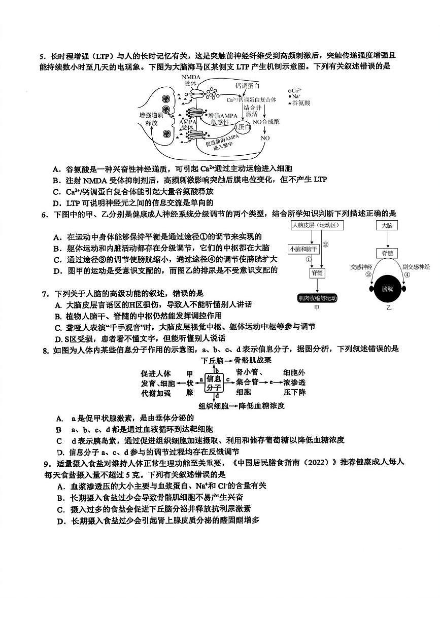 福建省厦门实验中学2025-2026学年高二上学期期中考试生物试题第2页