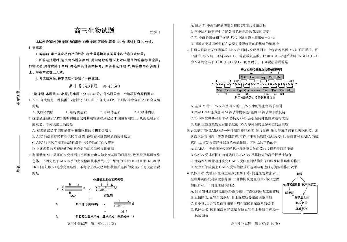 山东省德州市2026届高三上学期期末考试生物试题（PDF版附答案）第1页