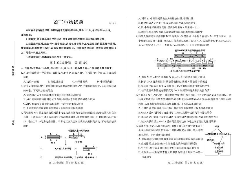 山东省德州市2026届高三上学期期末考试生物试题（PDF版附答案）第1页