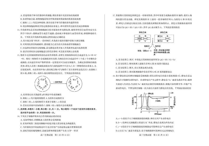 山东省德州市2026届高三上学期期末考试生物试题（PDF版附答案）第3页