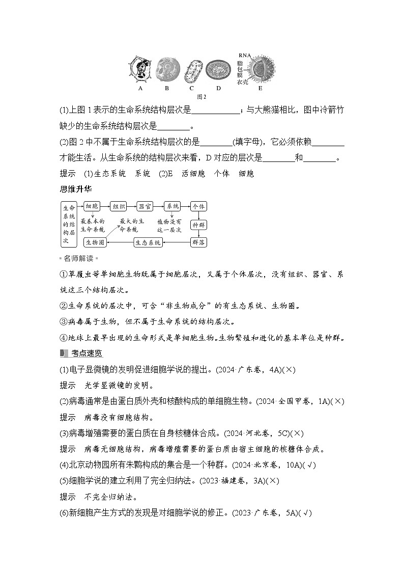 2026届高考生物一轮总复习讲义：第1课时 走近细胞第3页