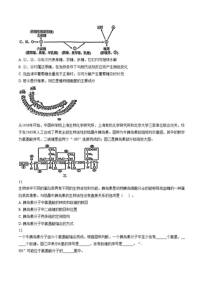 上海市宝山区上海市行知中学2025_2026学年高一上学期1月期末生物试题（文字版，含答案）第3页
