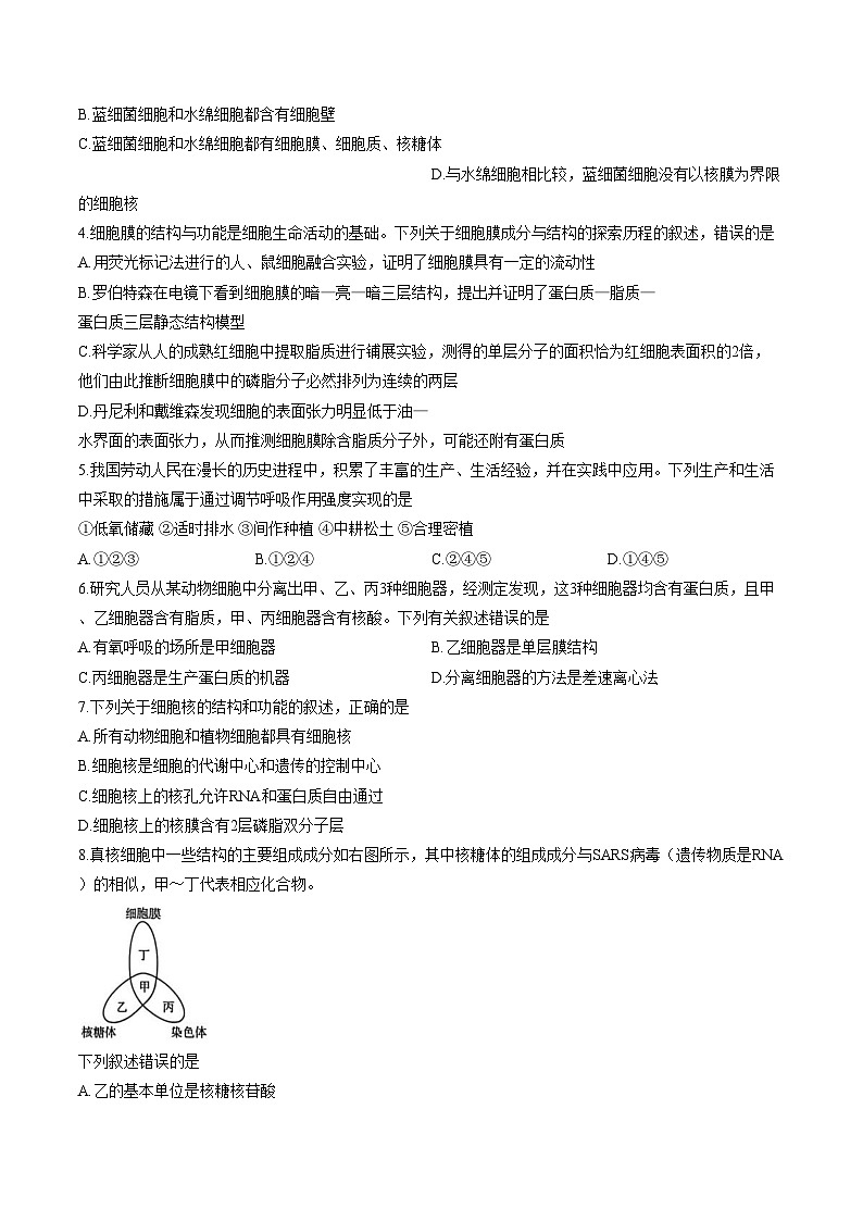 2026届河南省南阳市邓州市十校高一上学期期末摸底考试生物试题（文字版，含答案）第2页