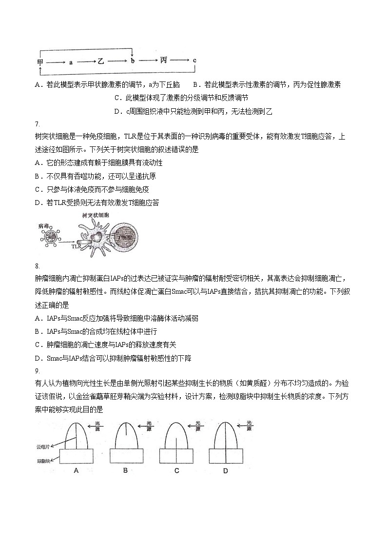 广东省深圳市龙岗区2025_2026学年第一学期高二期末质量监测生物学（文字版，含答案）第3页