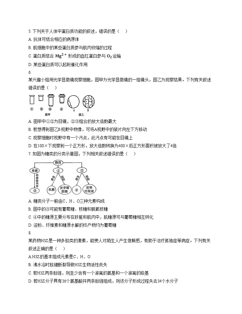 福建省南平市武夷山一中2025_2026学年高一上学期期中生物试题（文字版，含答案）第2页
