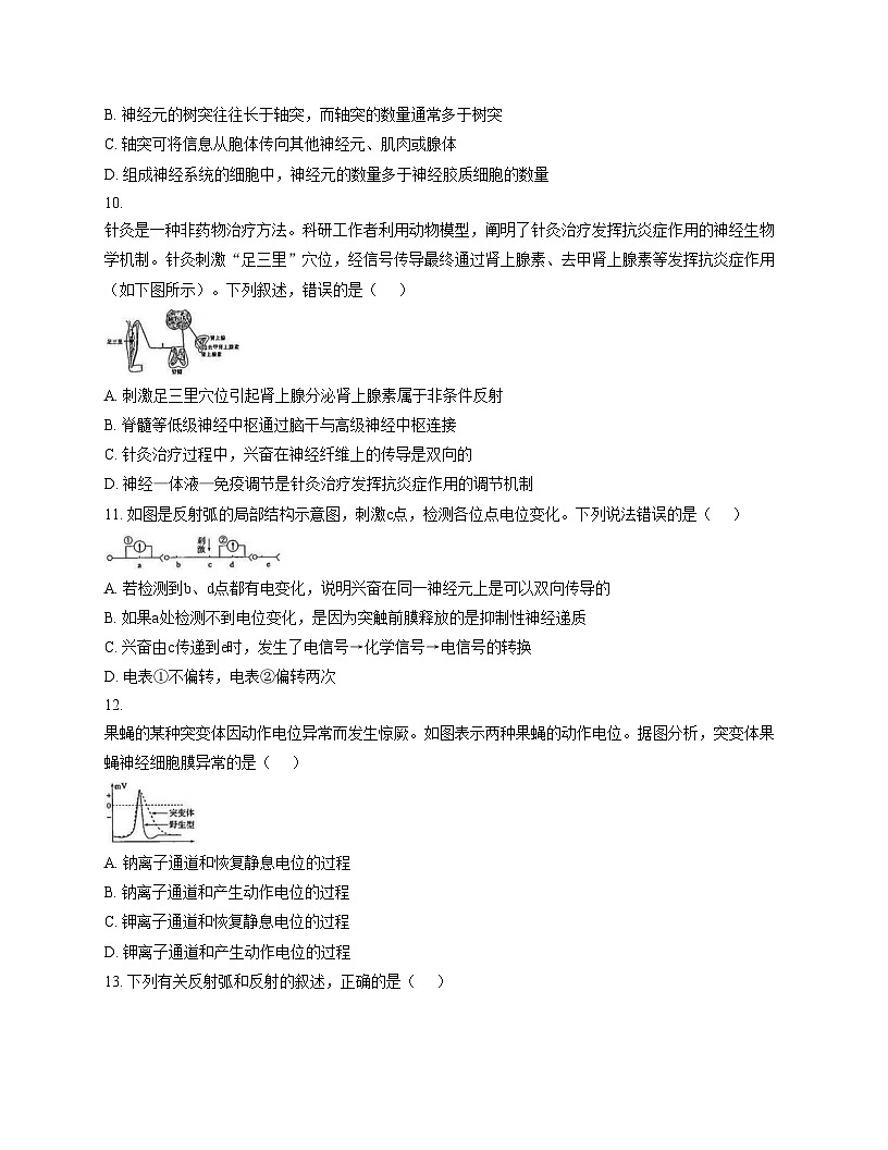 新疆克拉玛依市独山子区第二中学（高中部尖子班）2025_2026学年高二上学期期中考试生物学试卷（文字版，含答案）第3页