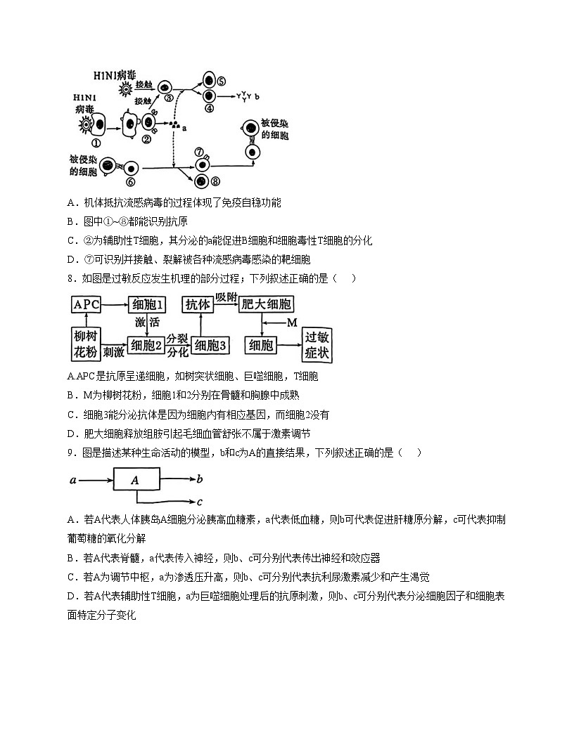 天津市第一0二中学2025—2026学年高二上学期期中考试生物试题(文字版含答案)第3页