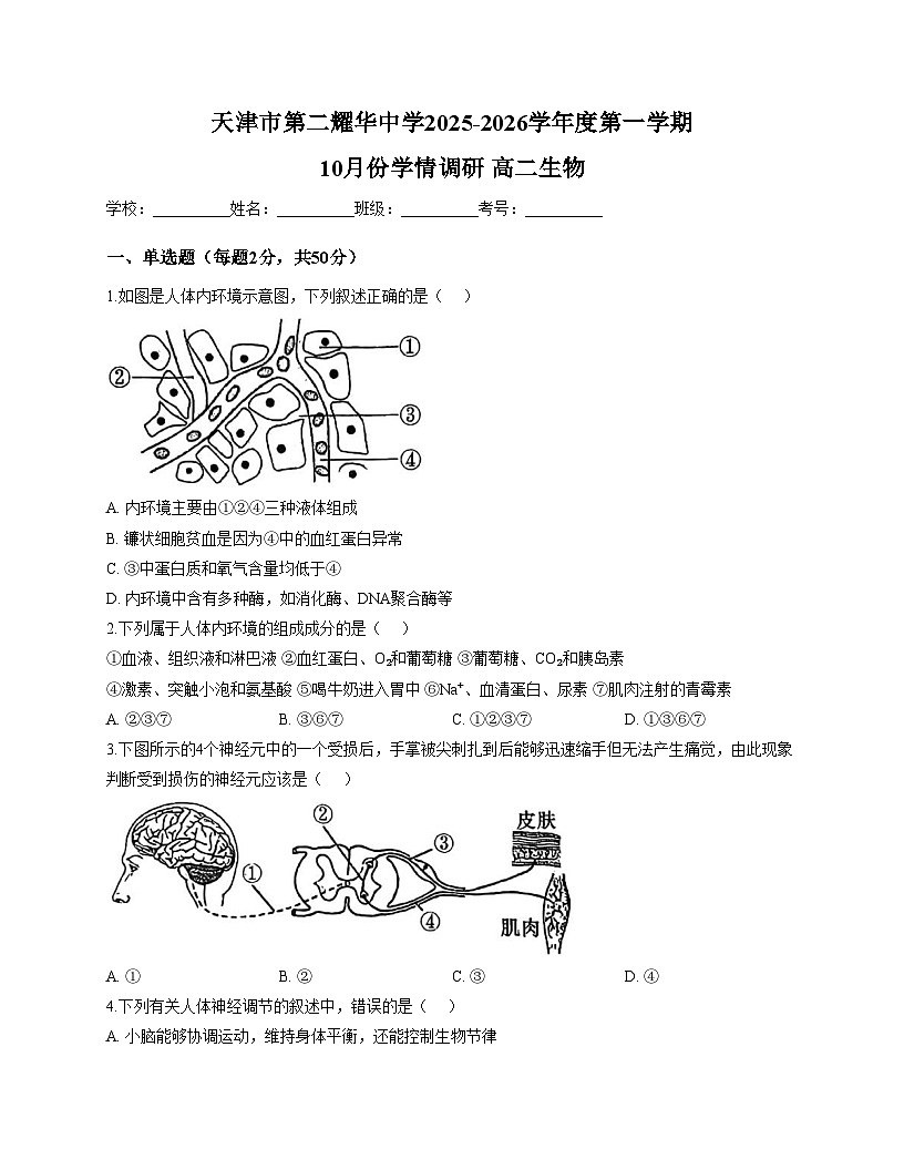天津市和平区第二耀华中学2025_2026学年高二上学期第一次月考生物试卷(文字版含答案)第1页