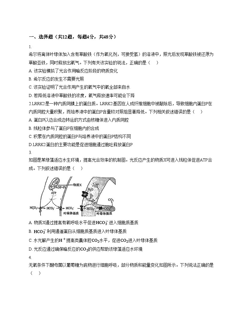 天津市河东区七中2025_2026学年高三上学期第一次月考生物试卷(文字版含答案)第1页
