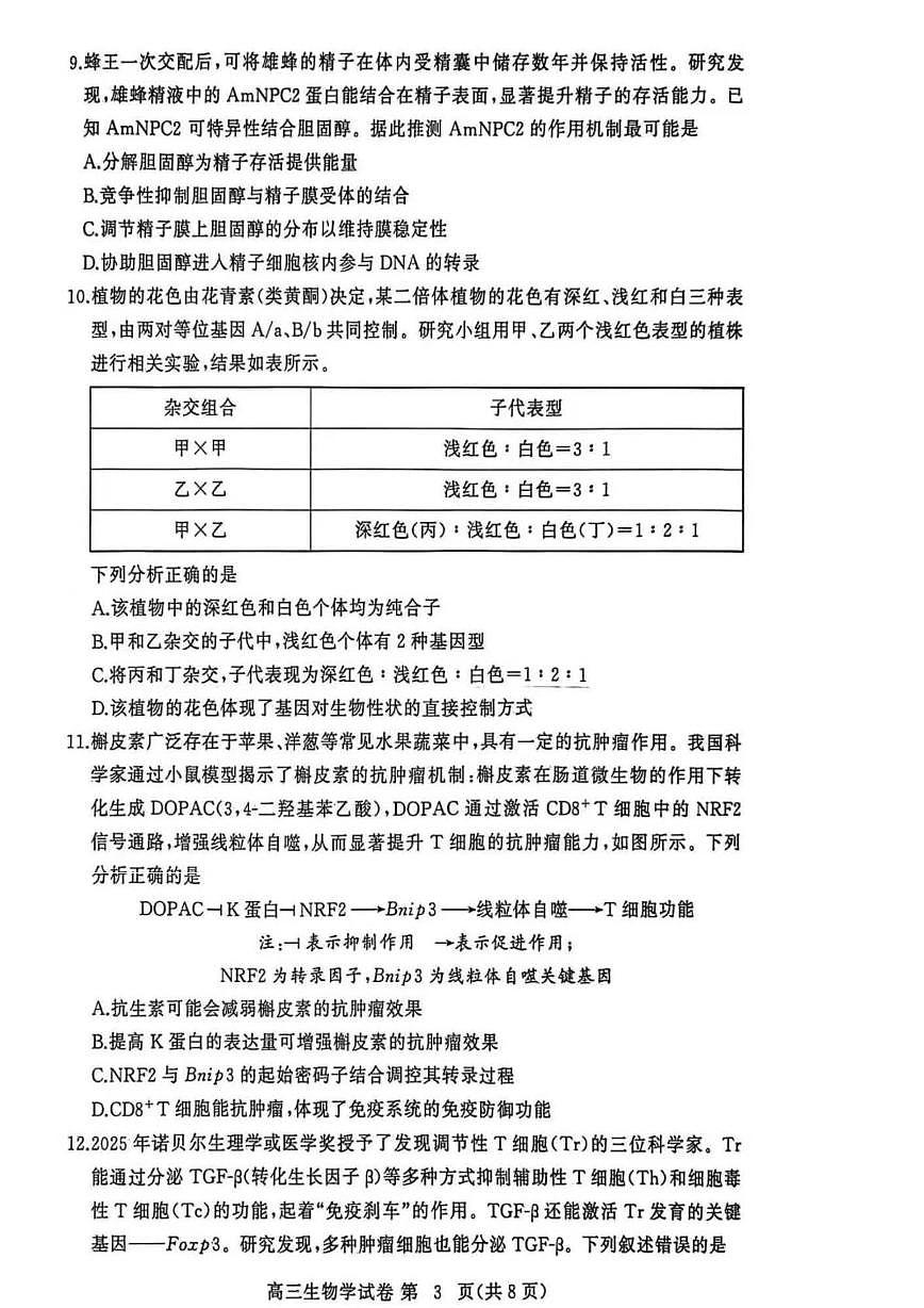 湖北省黄冈市2025-2026学年高三上学期1月期末考试生物（试卷 答案） 生物第3页