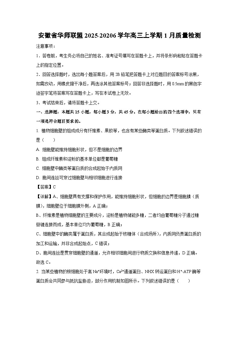 【生物】安徽省华师联盟2025-20206学年高三上学期1月质量检测（解析版）第1页