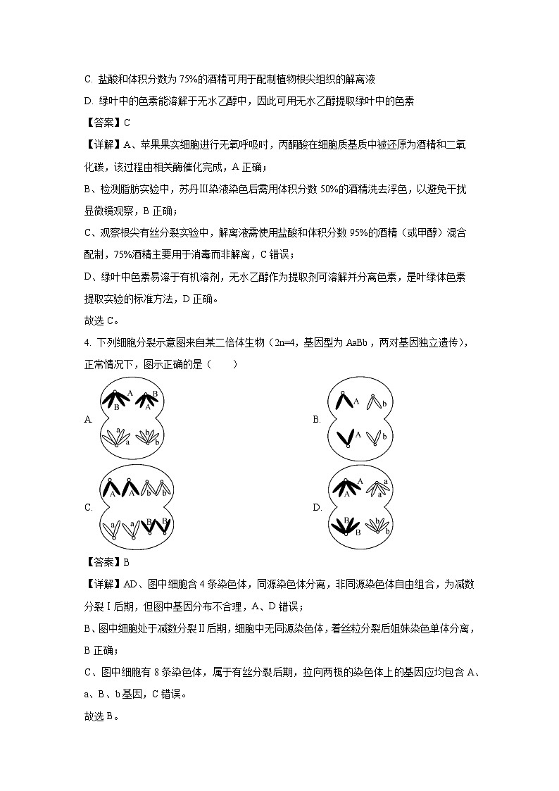 【生物】安徽省华师联盟2025-20206学年高三上学期1月质量检测（解析版）第3页