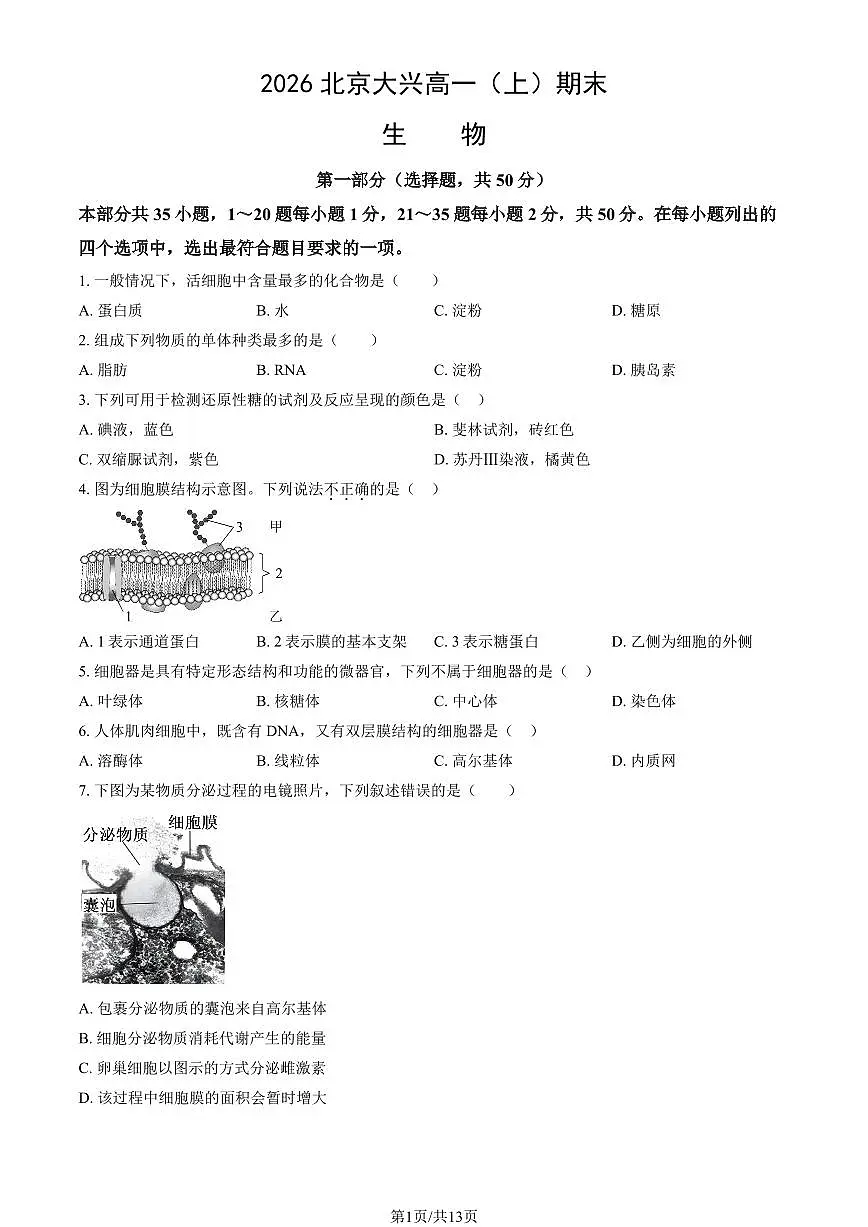 2026北京大兴高一（上）期末生物试卷 有答案第1页
