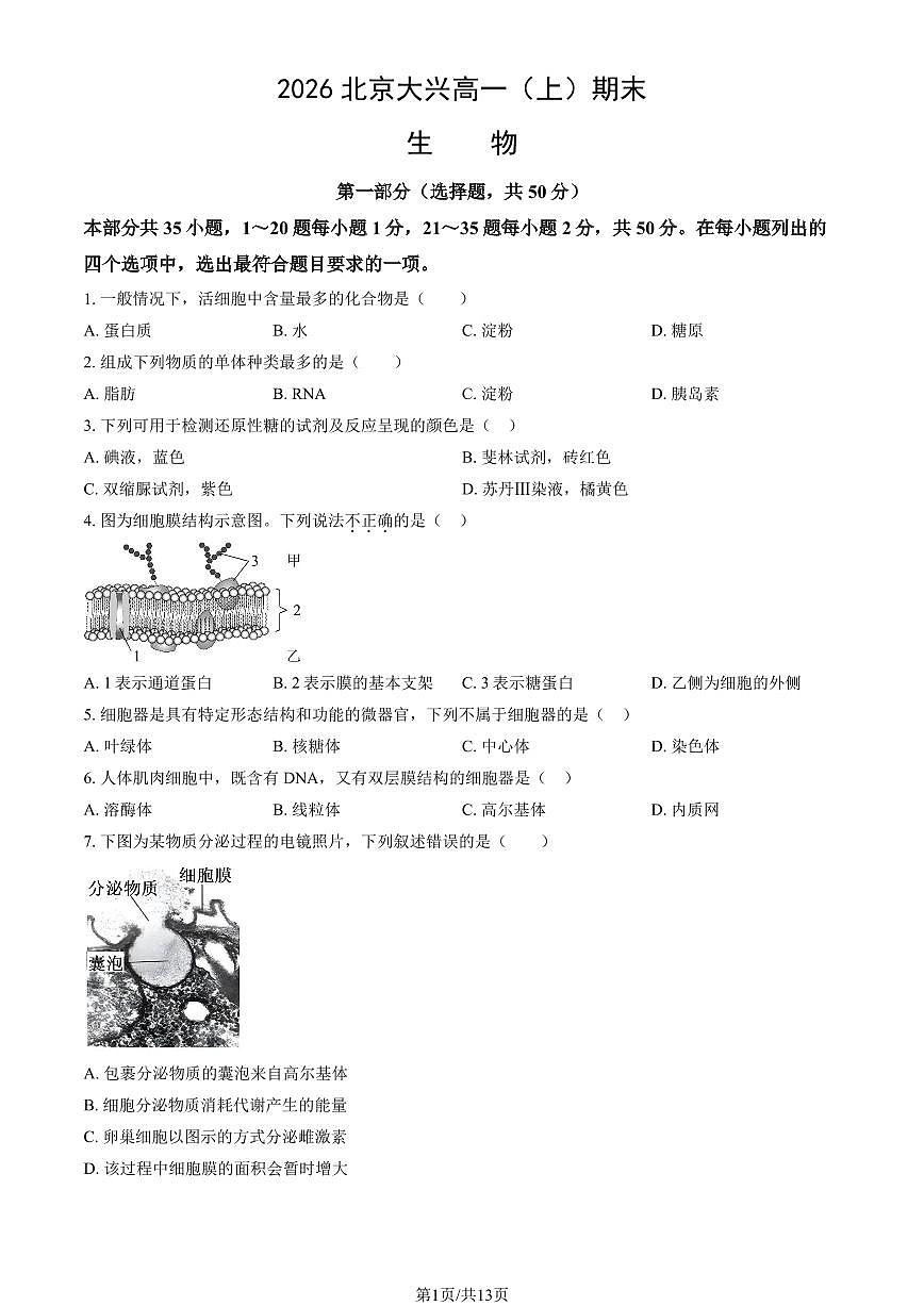 2026北京大兴高一（上）期末生物试卷 有答案第1页
