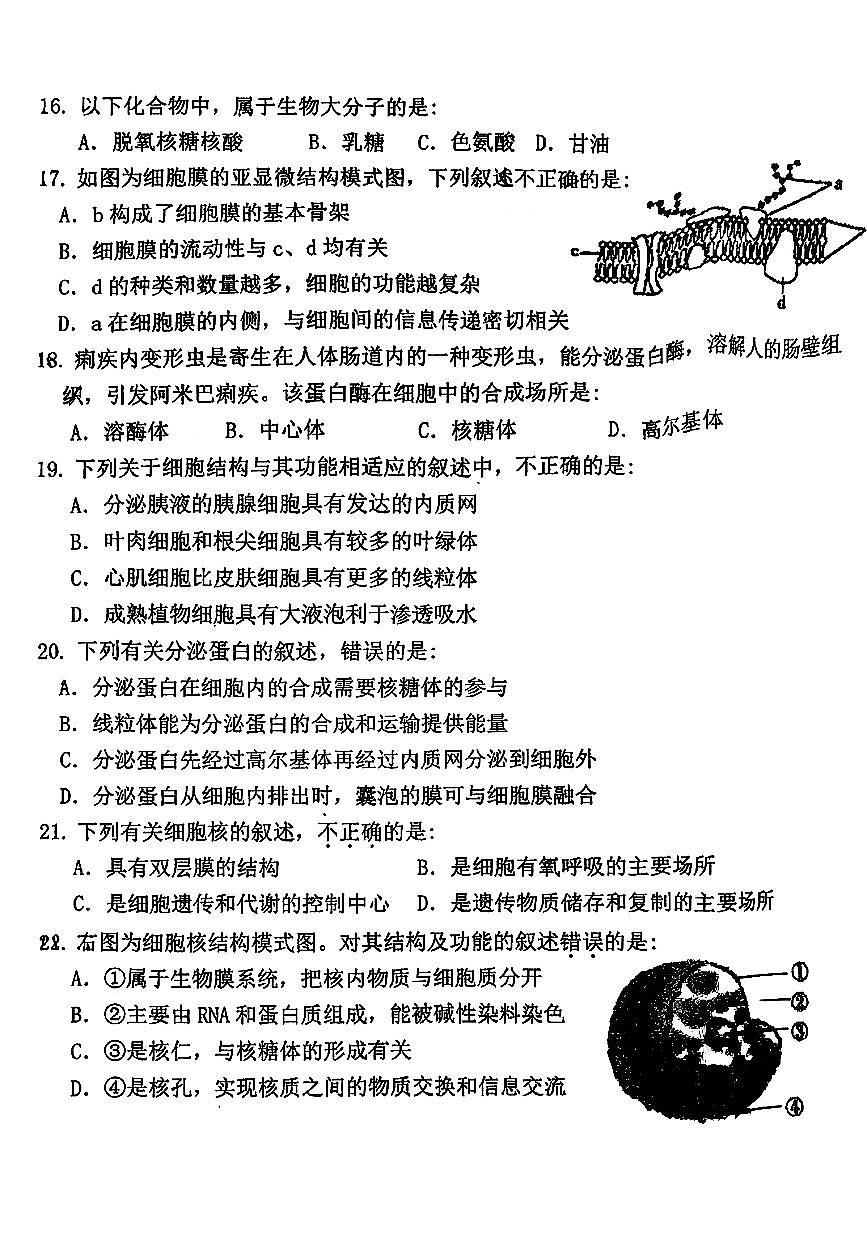 2025北京一零九中高一（上）期中生物试卷第3页