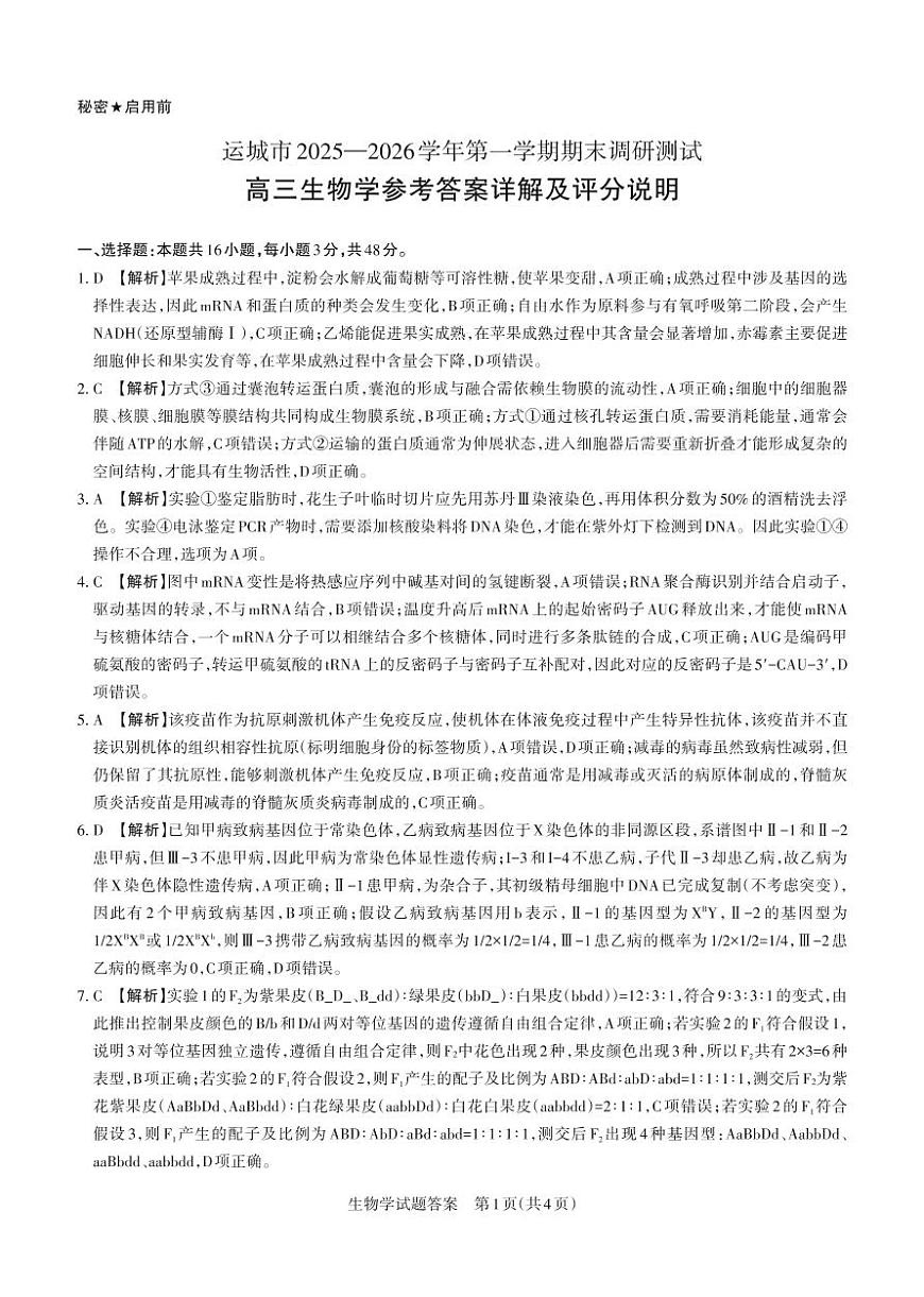 生物答案 运城市2025—2026学年第一学期期末调研测试 高三答案与详解  生物学_未命名(2)第1页