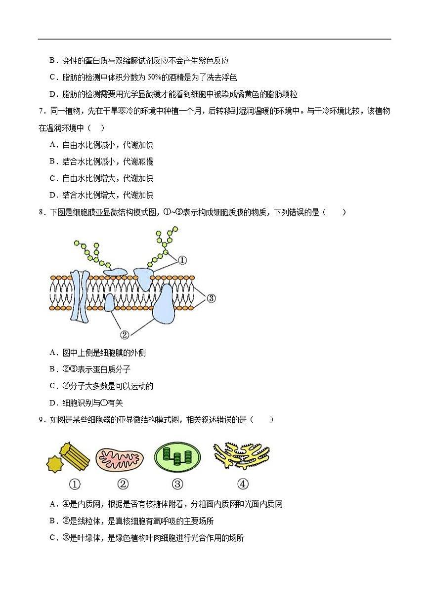 2025-2026学年宁夏中卫市海原县第一中学高一上学期第四次阶段性质量检测生物试卷（含答案）第2页